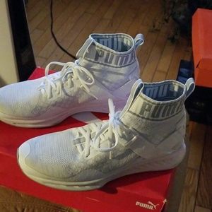 Puma Ignite Evo Knit
